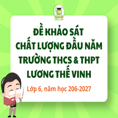 Đề kiểm tra khảo sát đầu năm học Lớp 9 - THCS & THPT Lương thế Vinh