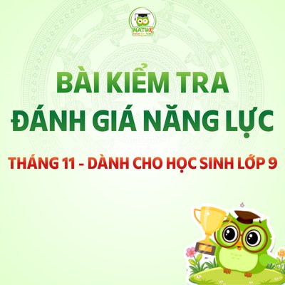 BÀI KIỂM TRA ĐÁNH GIÁ NĂNG LỰC THÁNG 11 DÀNH CHO HỌC SINH LỚP 9